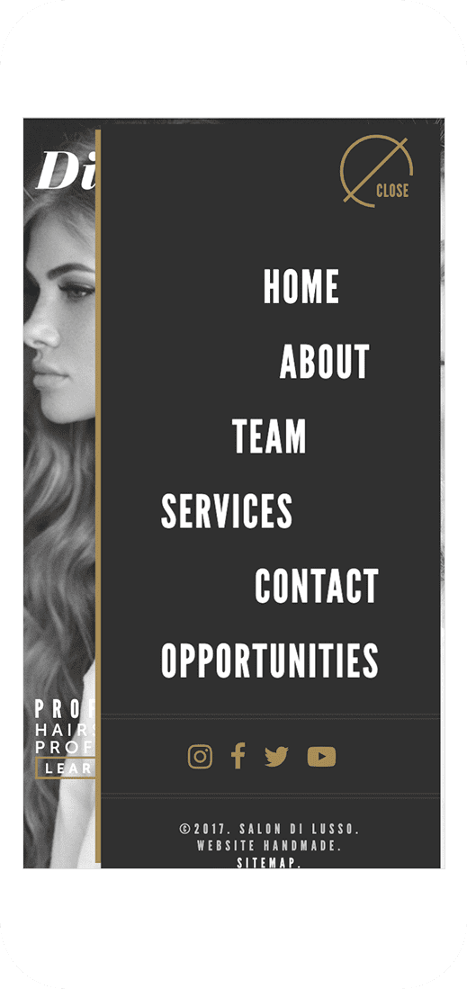 SalonDilusso Custom WordPress Website Design