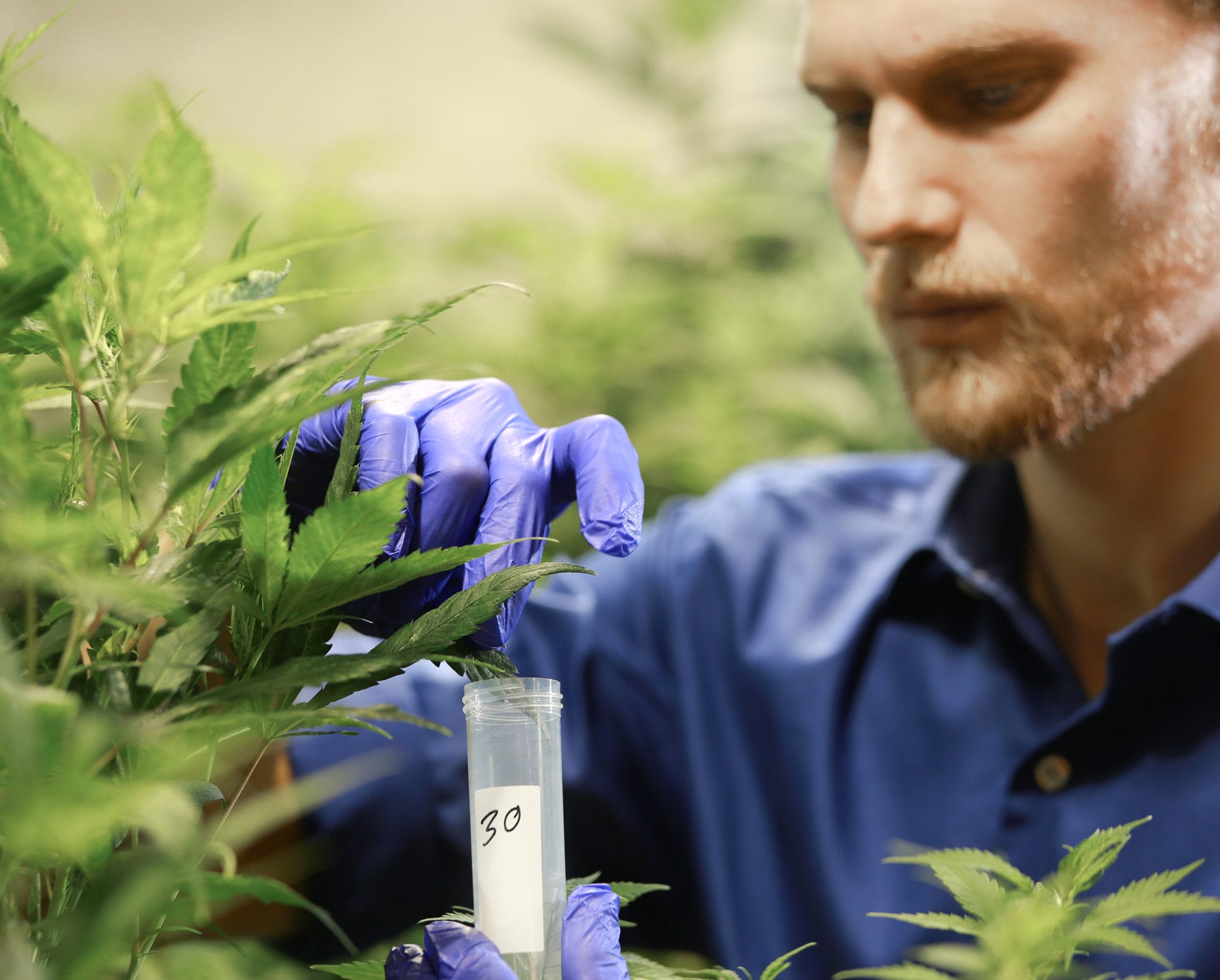 ZED Therapeutics
